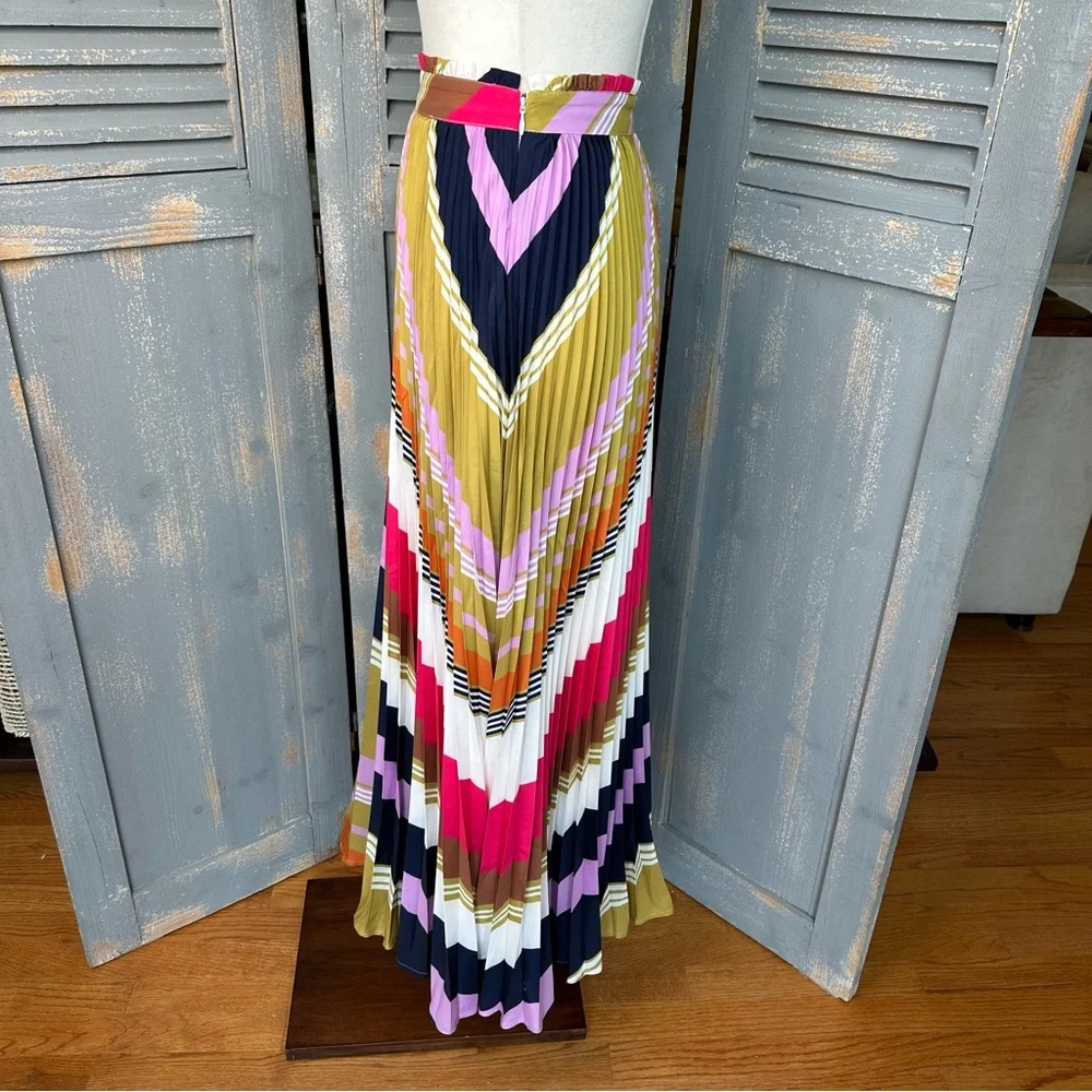 Pleated Chevron Midi Skirt in Multicolor Stripe - Picture 7 of 14